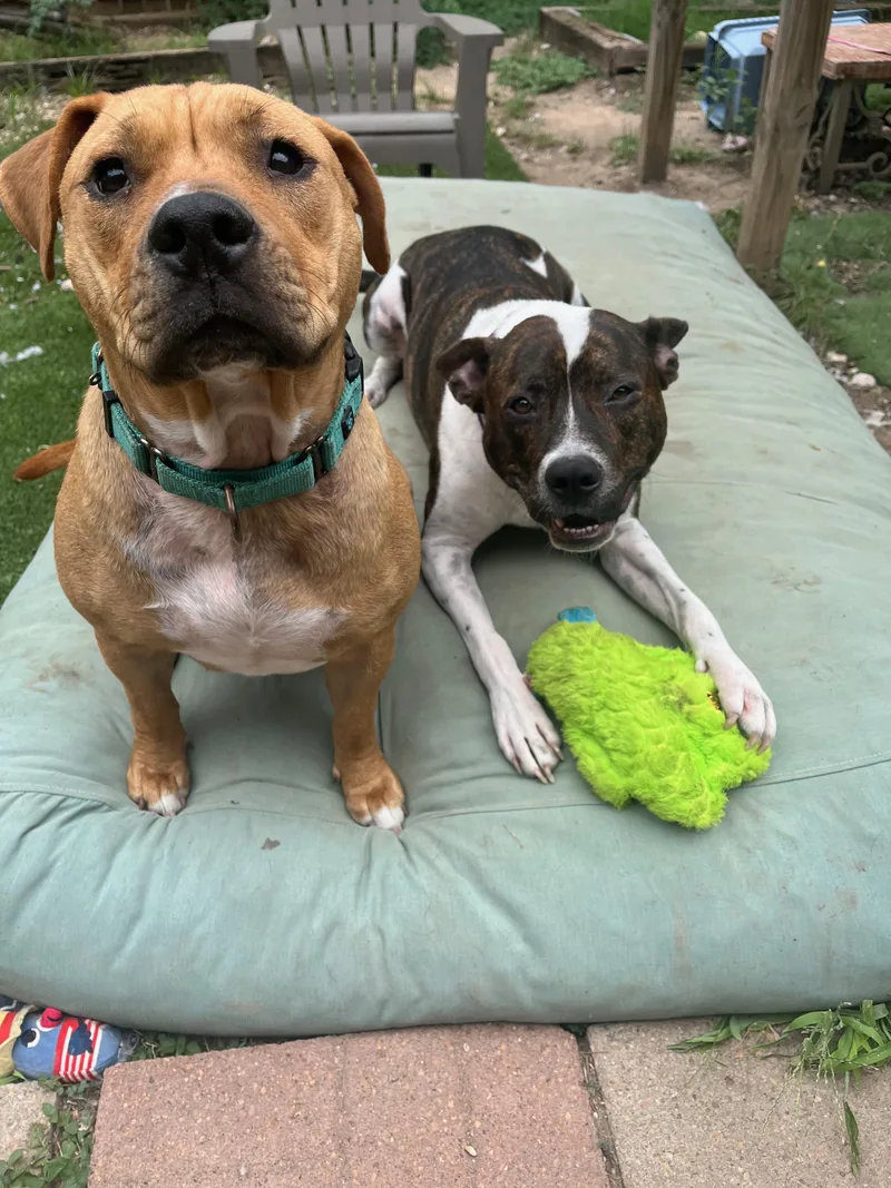 The Sundance Kid thumbnail 4