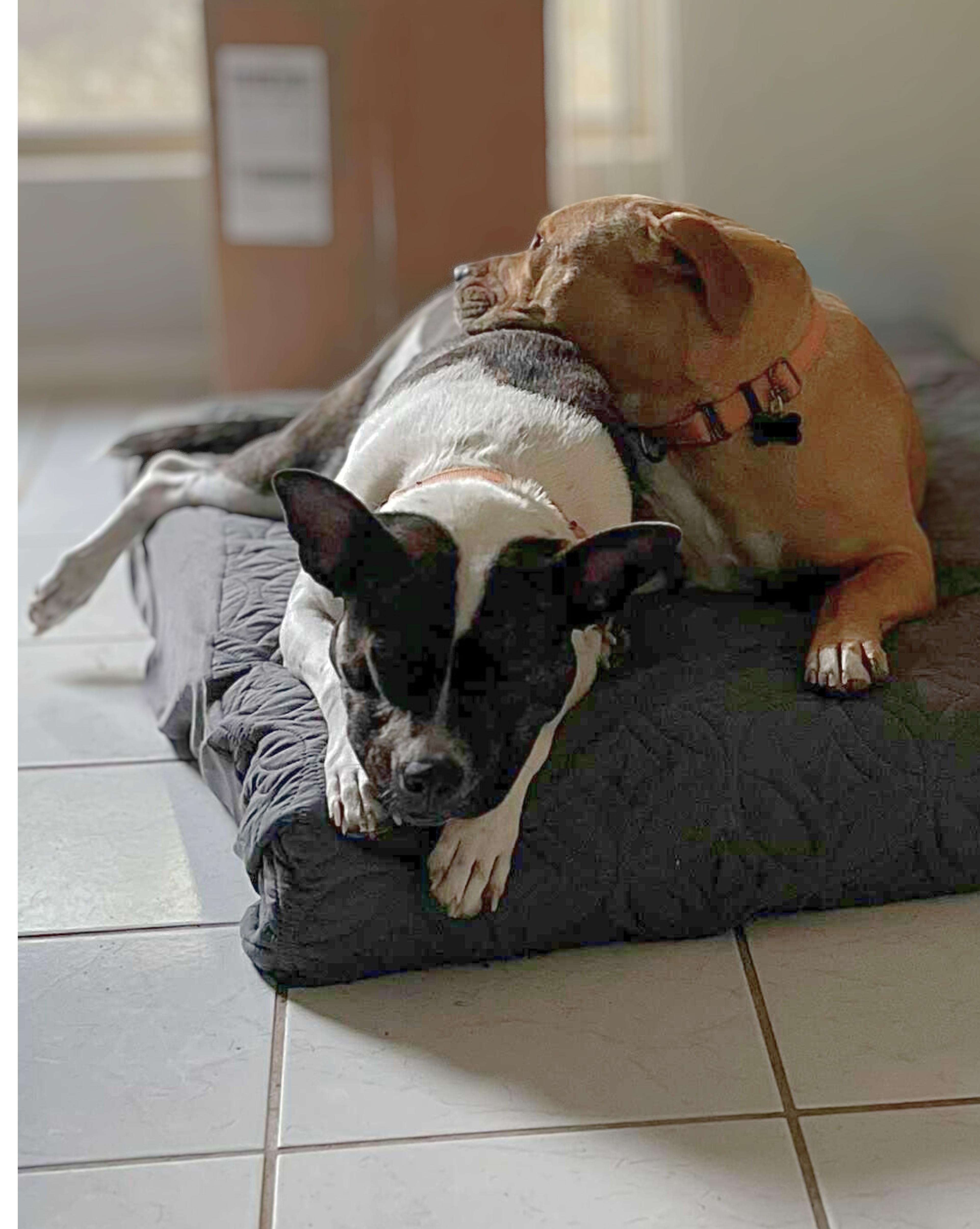 The Sundance Kid thumbnail 6