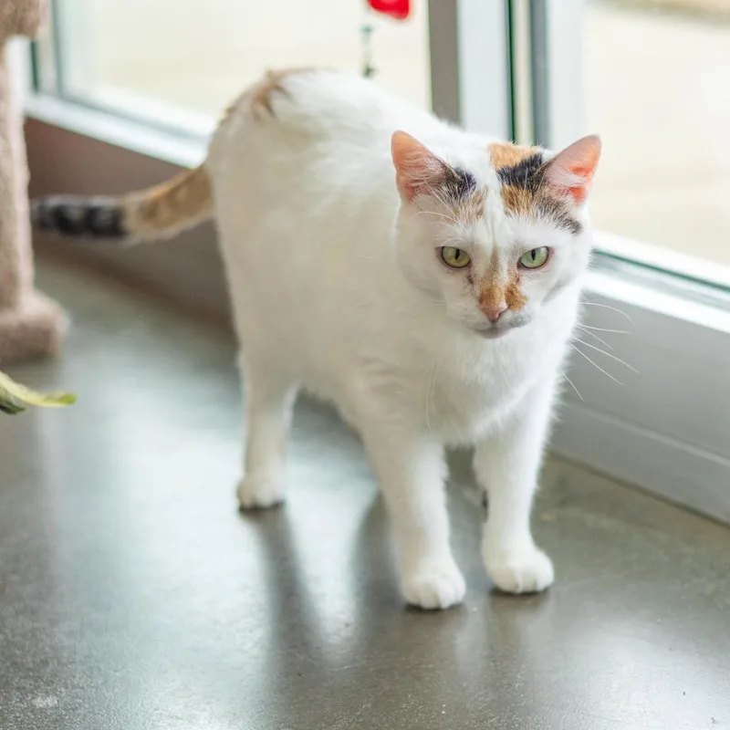 Momma Girl thumbnail 2