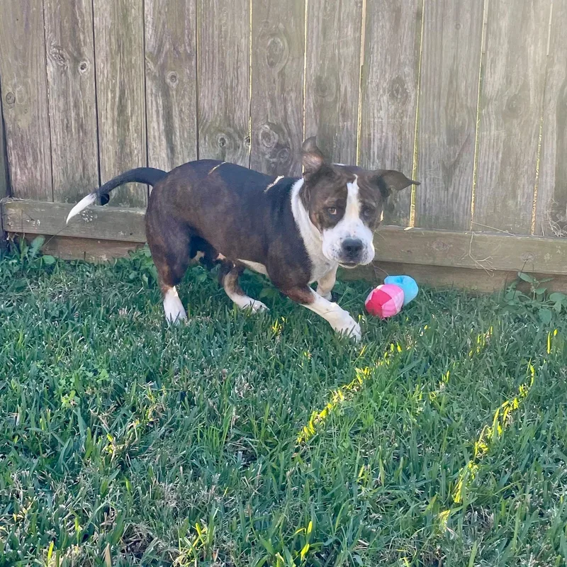 Maggie Mae thumbnail 3