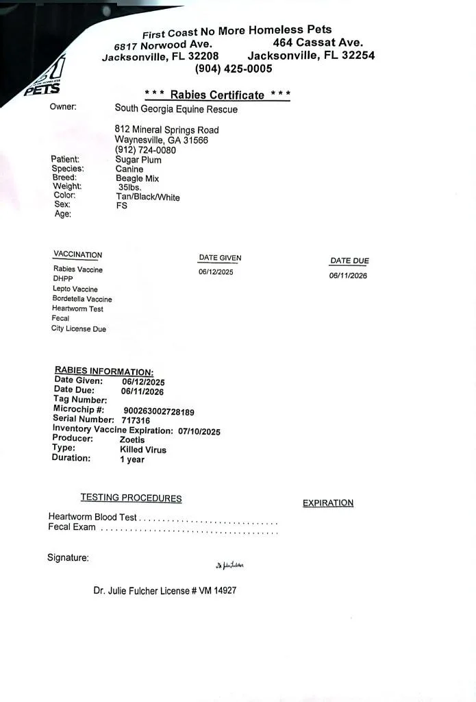 Sugar Plum thumbnail 2