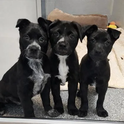 Mrs. Sanchez thumbnail 2