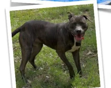 Mocha thumbnail 2