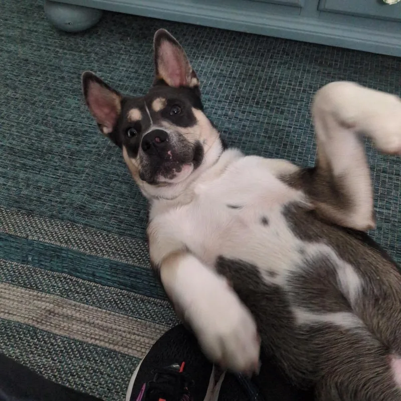 Buster Jones thumbnail 2