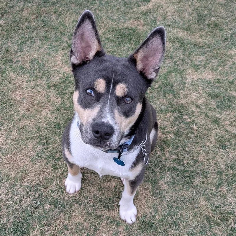 Buster Jones thumbnail 3