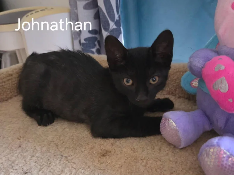 Johnathan thumbnail 2
