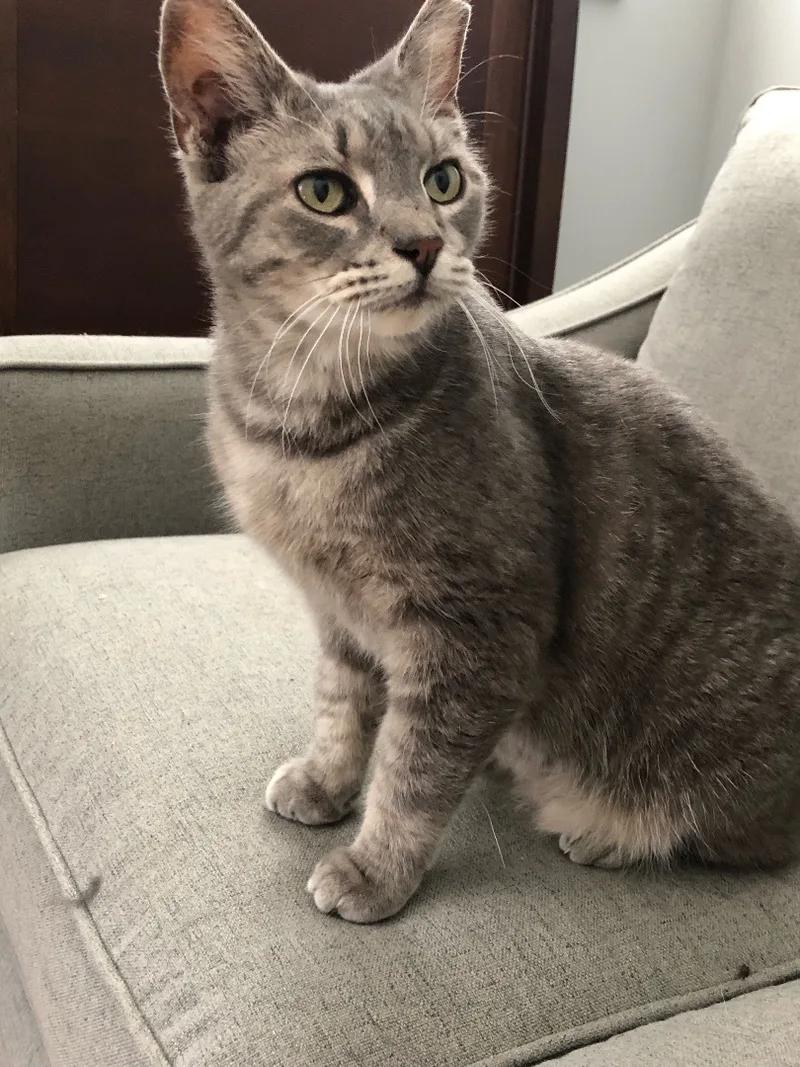 Precious thumbnail 2