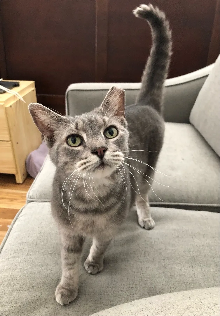 Precious thumbnail 3