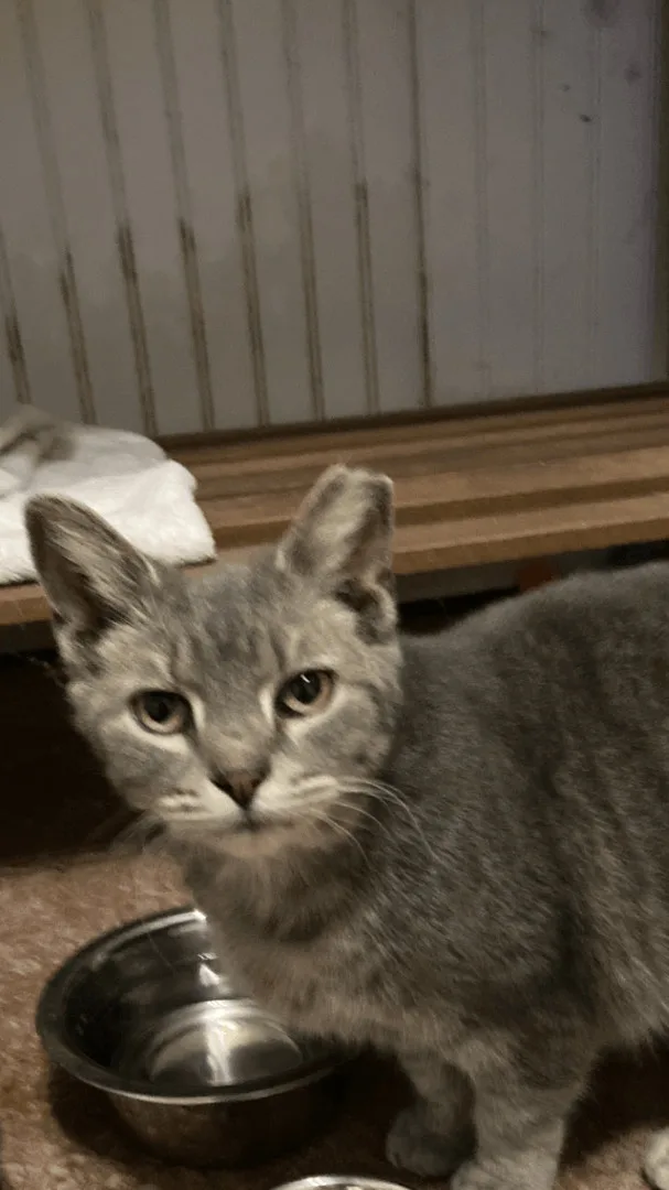 Precious thumbnail 4