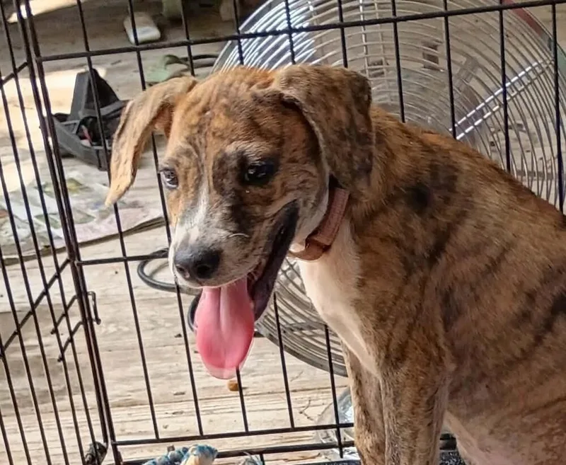 Baby Piper thumbnail 2