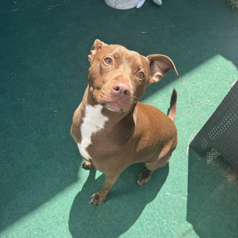 Nova Jane thumbnail 2