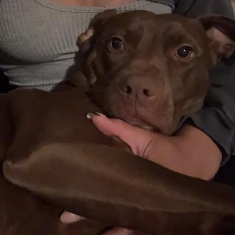 Nova Jane thumbnail 3