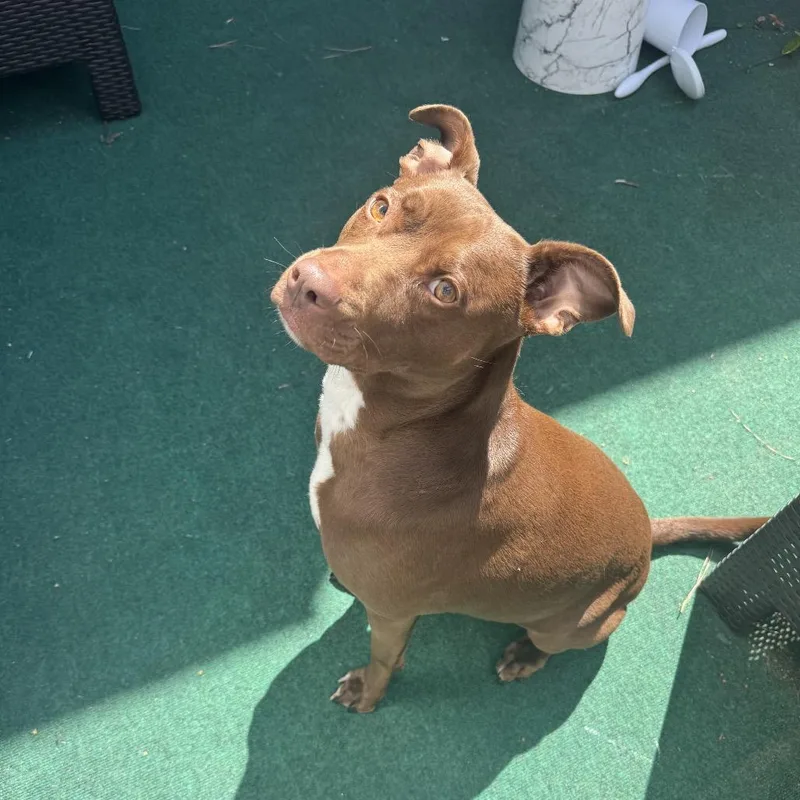 Nova Jane thumbnail 4