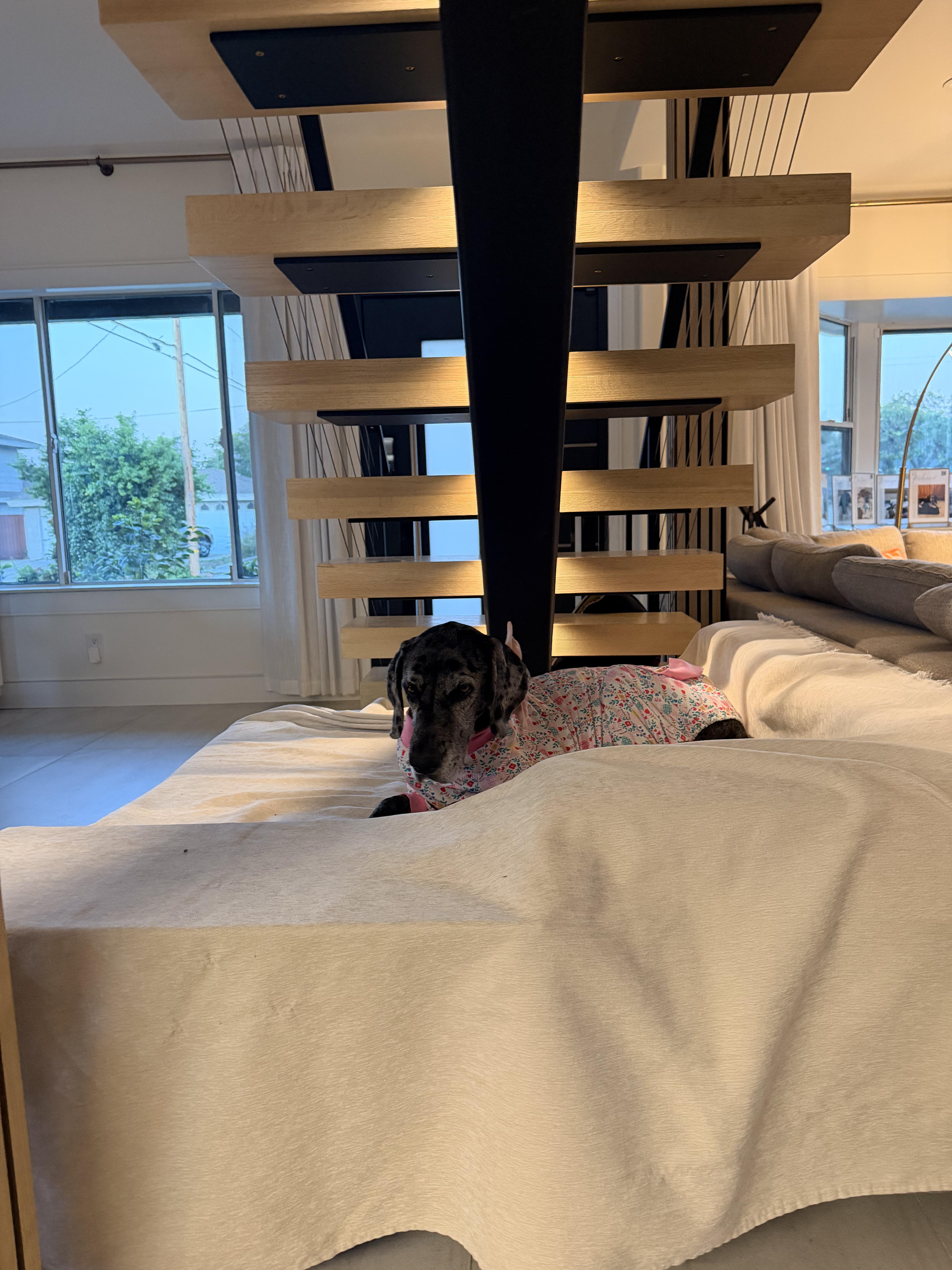Rosie thumbnail 5