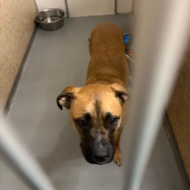 Moss Aka Ozzy thumbnail 2