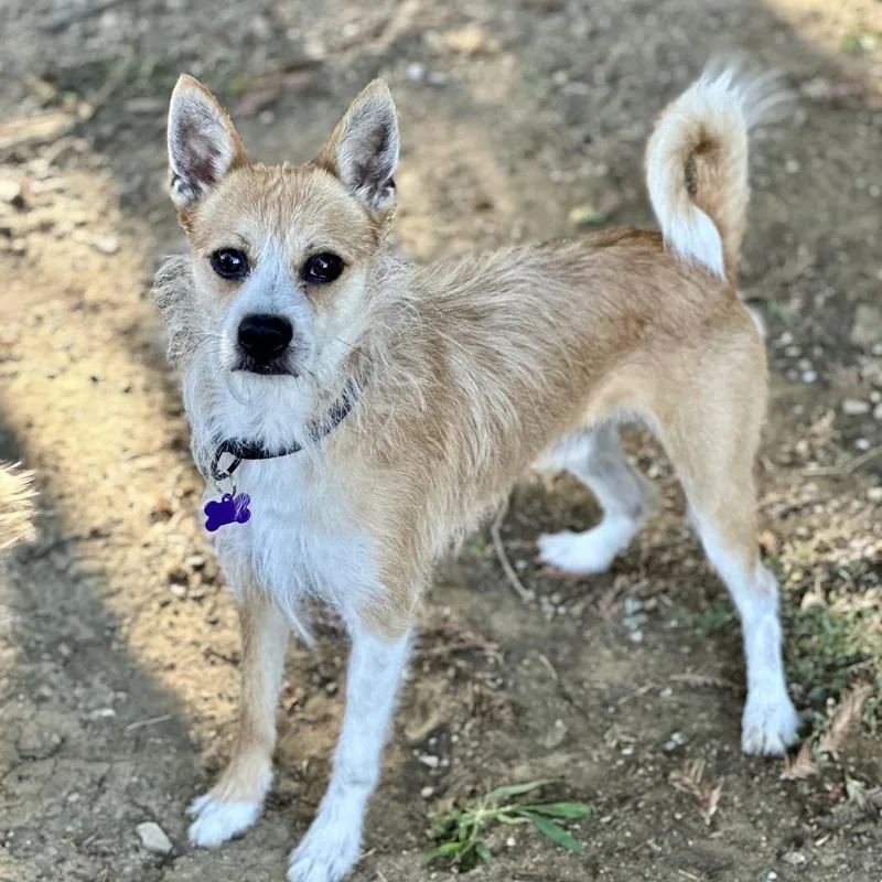 Peter Benjamin "pete" thumbnail 3