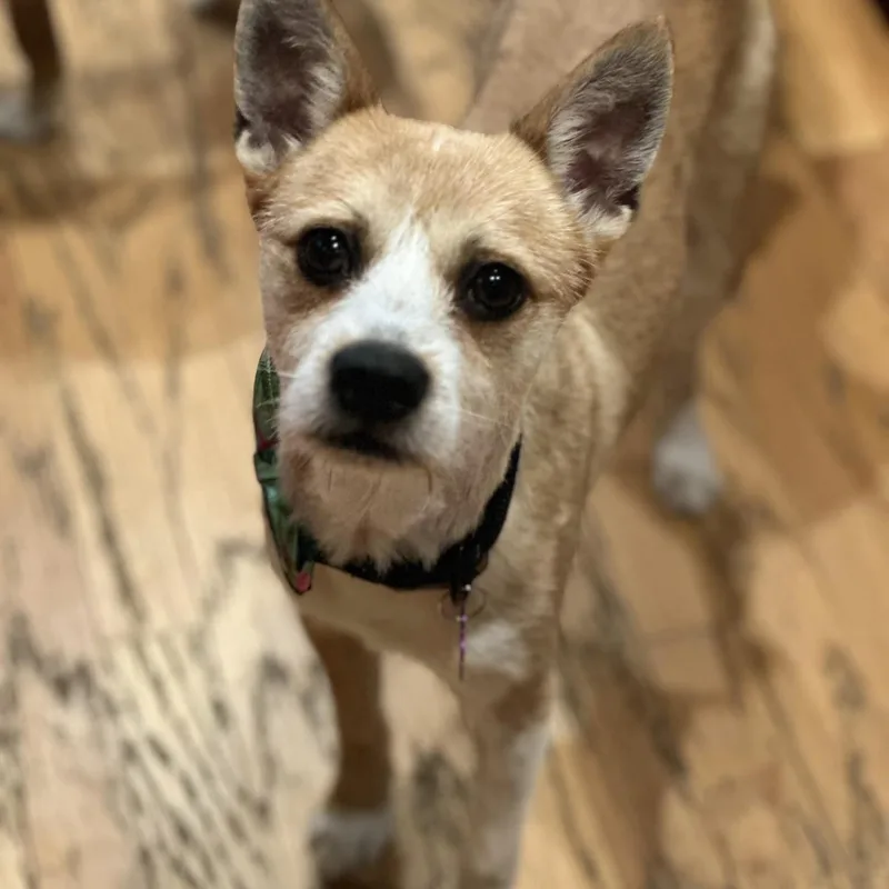 Peter Benjamin "pete" thumbnail 5