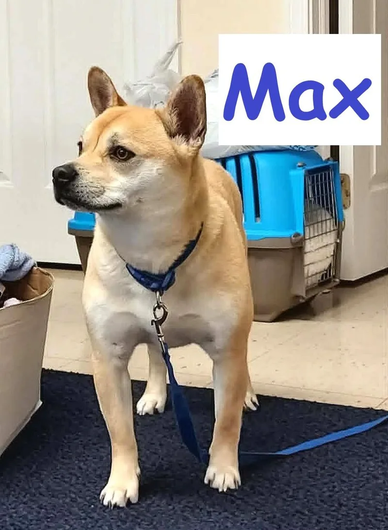 Max thumbnail 3