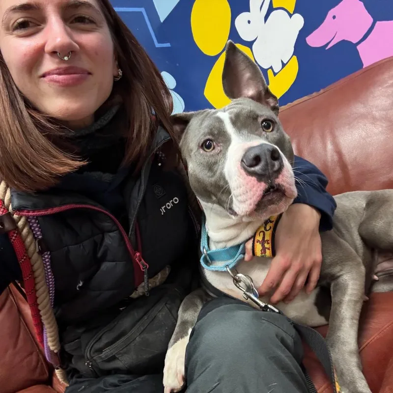 Pollie Pocket thumbnail 4