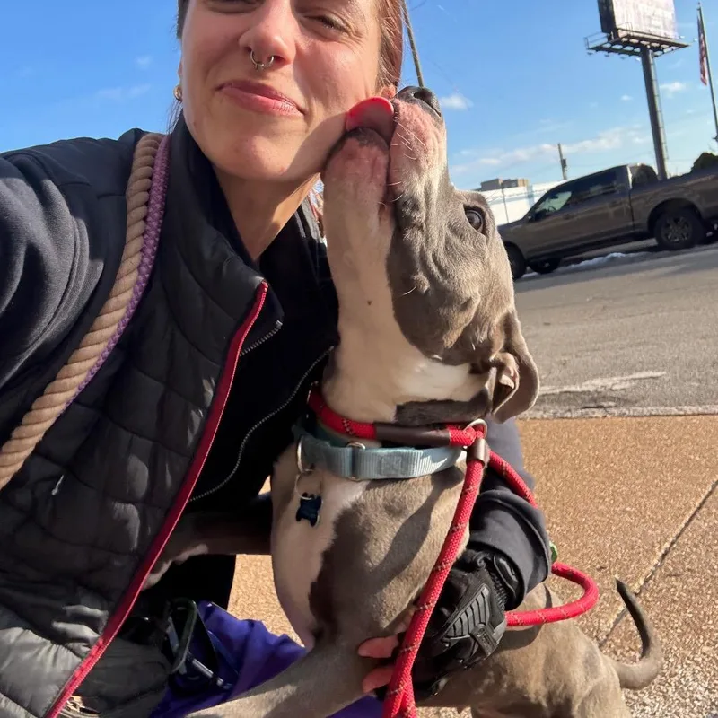 Pollie Pocket thumbnail 6