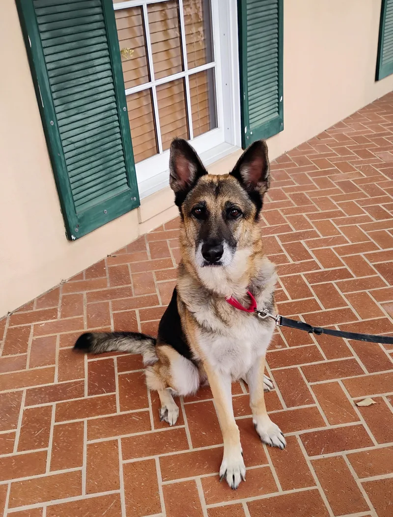 Loveable Rylee thumbnail 3