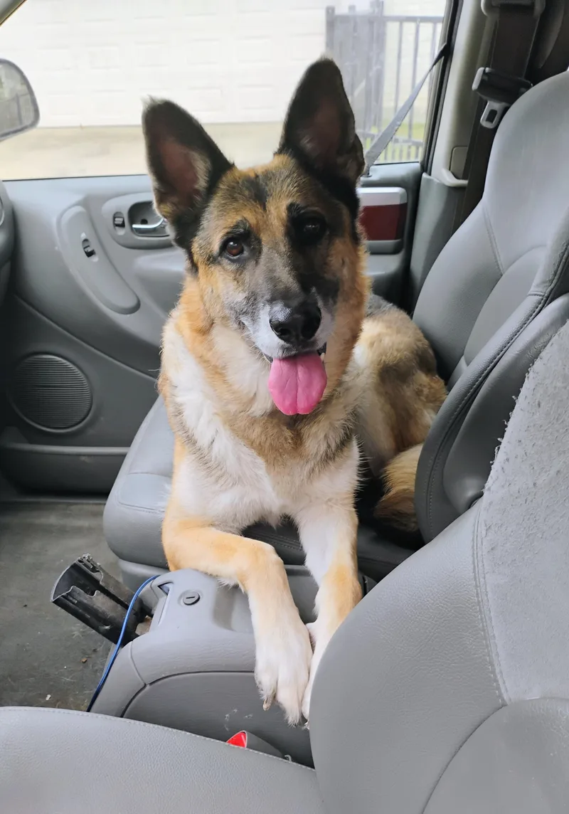 Loveable Rylee thumbnail 4