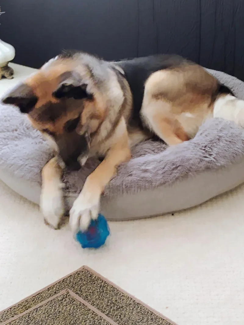 Loveable Rylee thumbnail 6