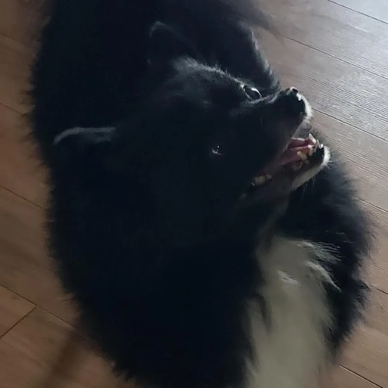 Wednesday thumbnail 3