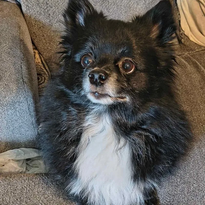 Wednesday thumbnail 4