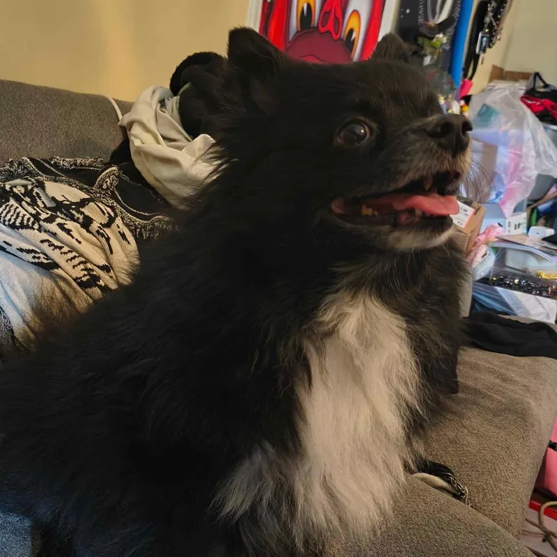 Wednesday thumbnail 5