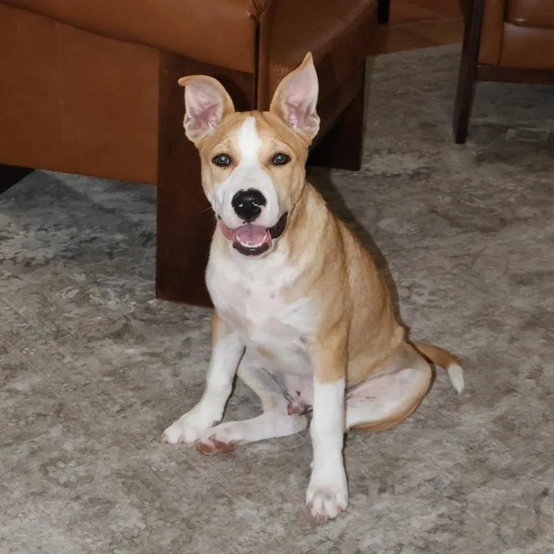 Max