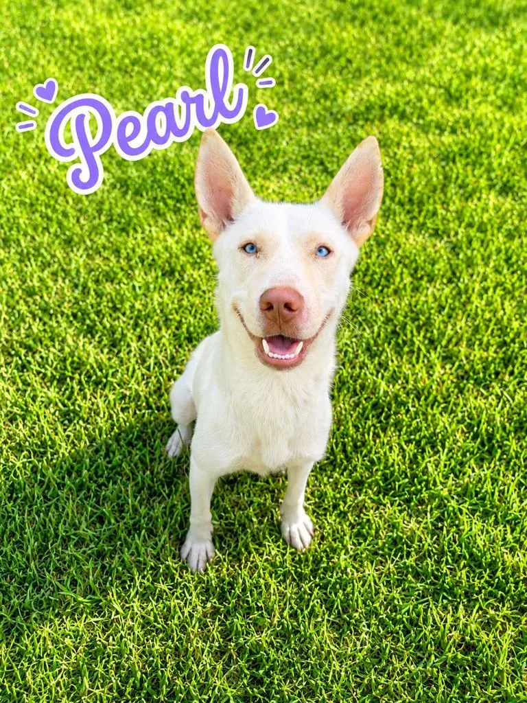 Pearl