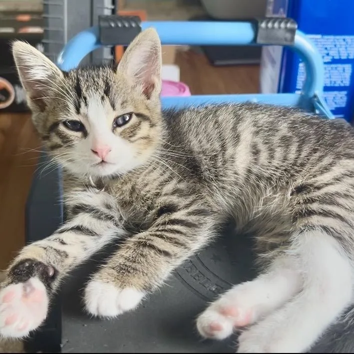 Walter thumbnail 4