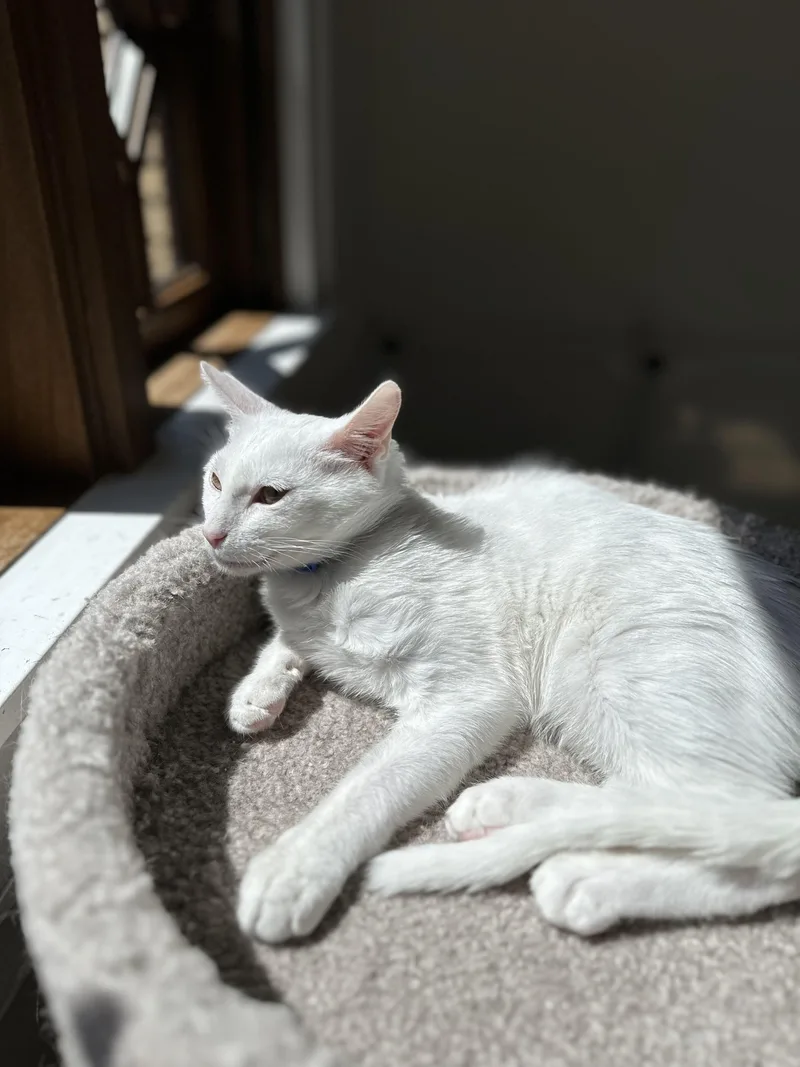 Melbourne thumbnail 2