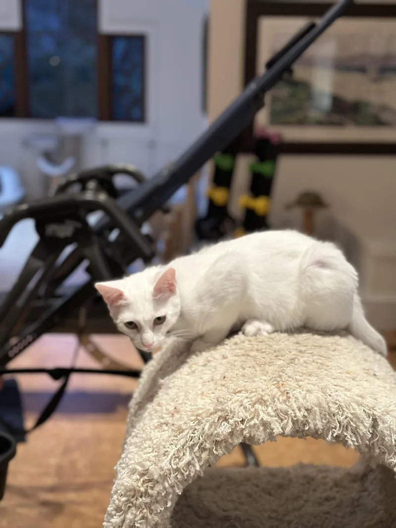 Melbourne thumbnail 3