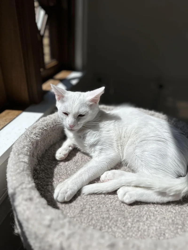 Melbourne thumbnail 4