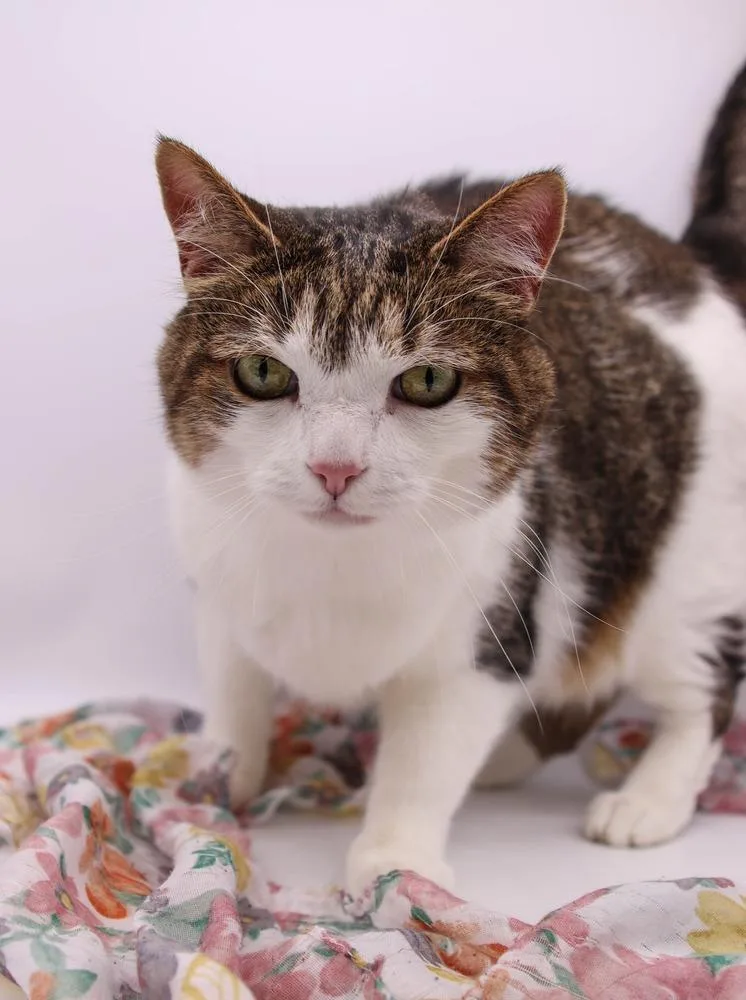 Sour Patch thumbnail 2