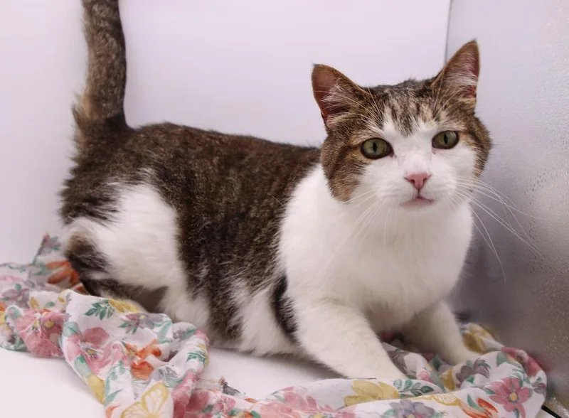 Sour Patch thumbnail 3