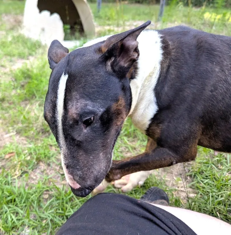 Daisy May thumbnail 5