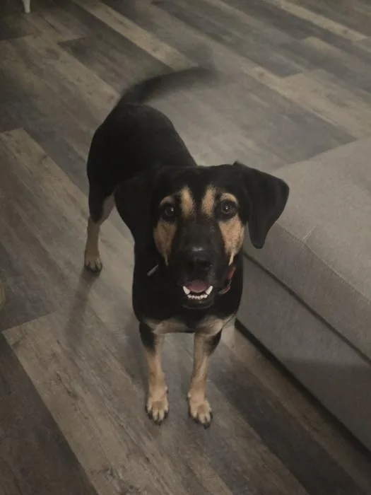 ~ Courtesy ~ Freeway thumbnail 2