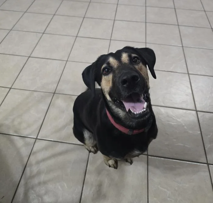 ~ Courtesy ~ Freeway thumbnail 4