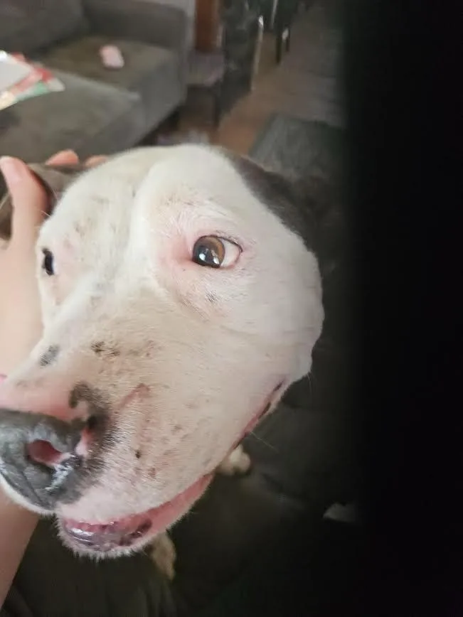 Baby Toes thumbnail 2