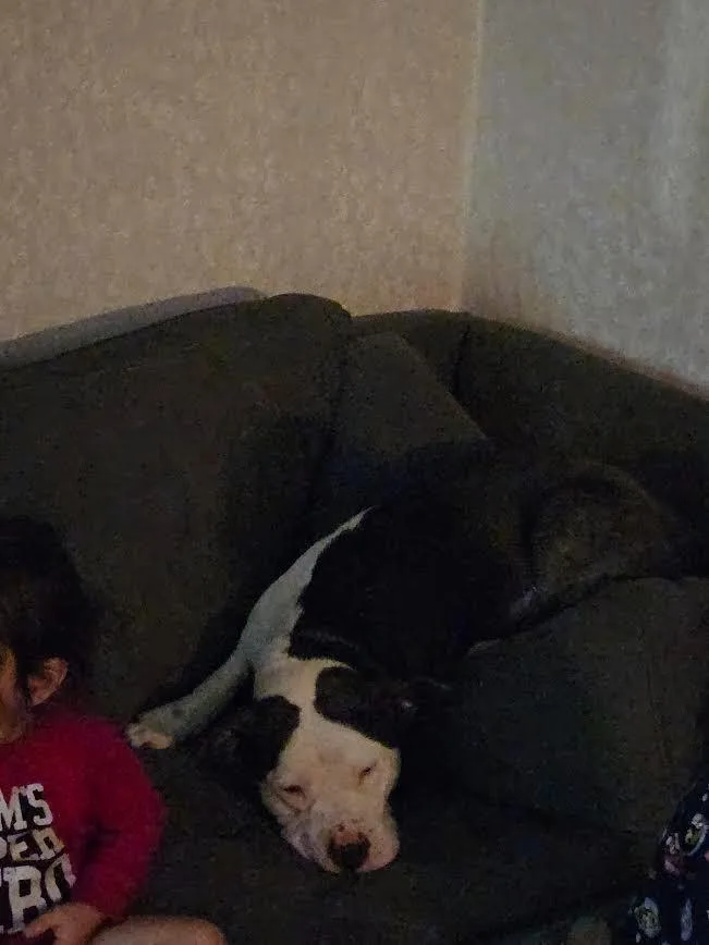 Baby Toes thumbnail 3