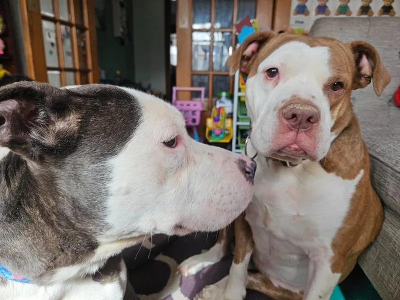 Baby Toes thumbnail 4