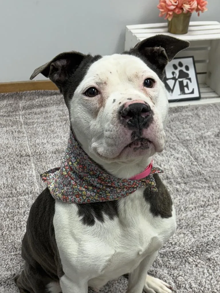 Baby Toes thumbnail 5