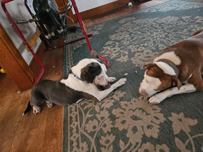 Baby Toes thumbnail 6