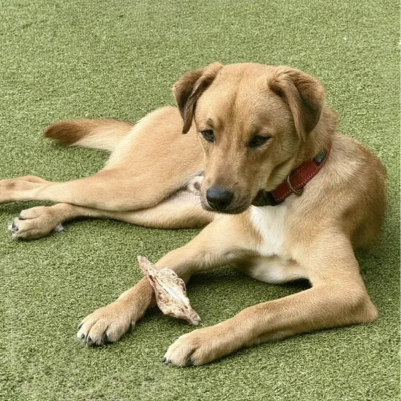 Chips thumbnail 2