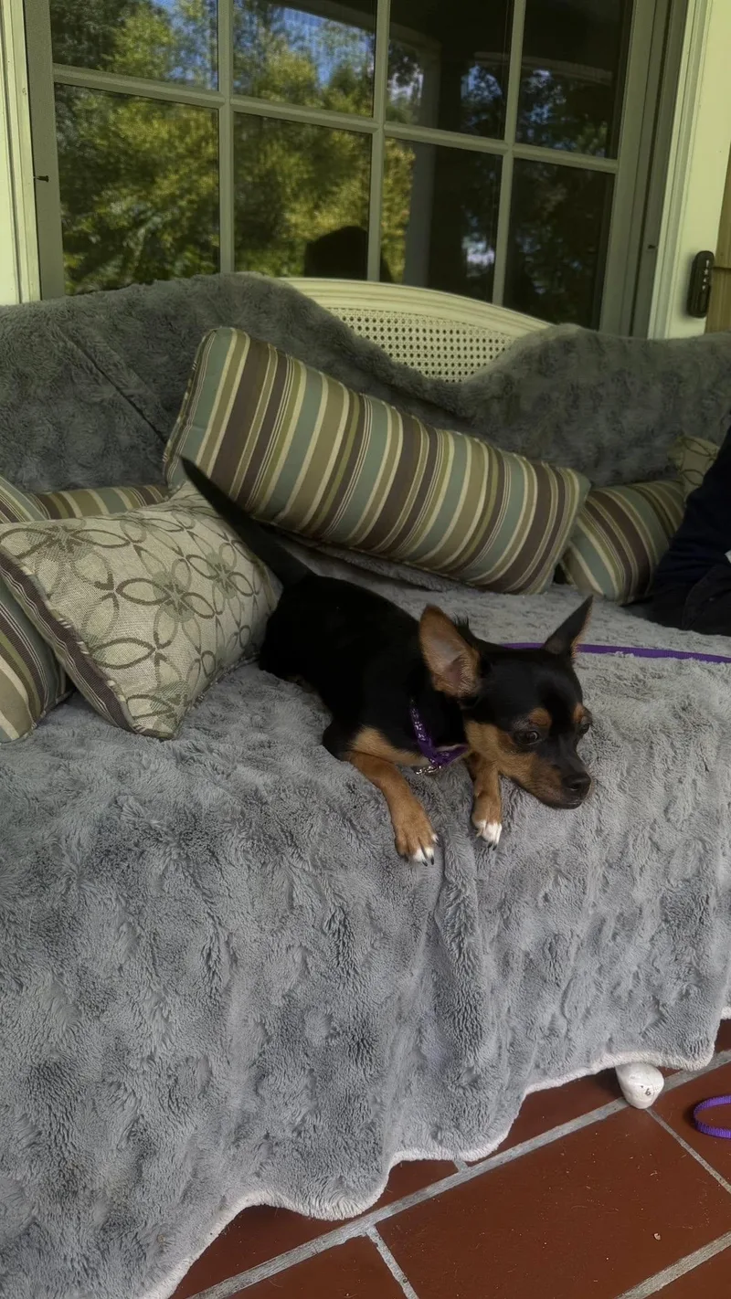 Mocha thumbnail 2