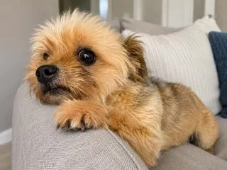 Ricky
