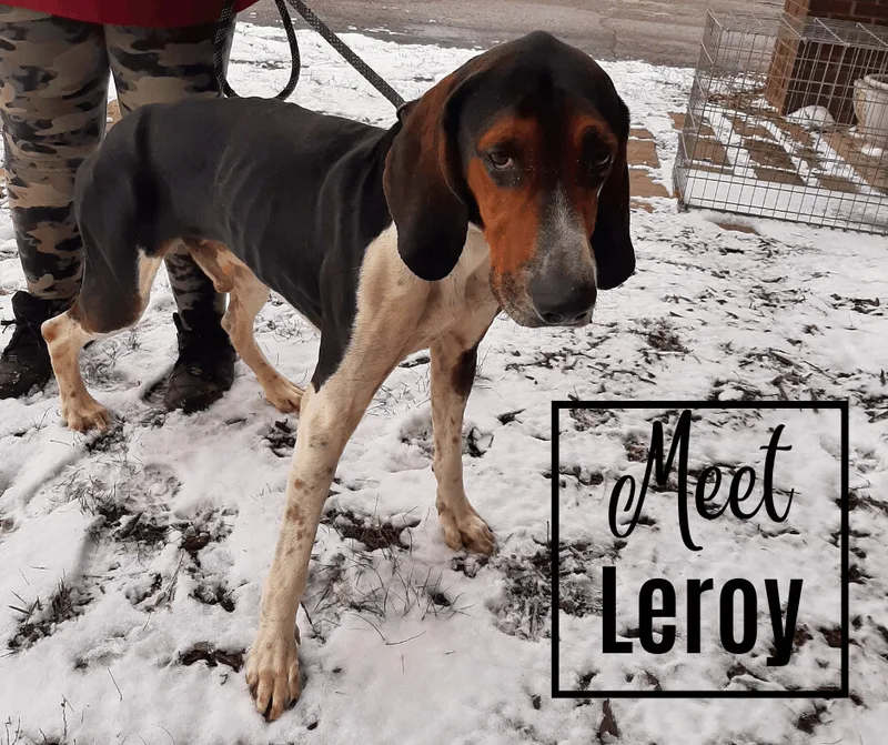 Leroy